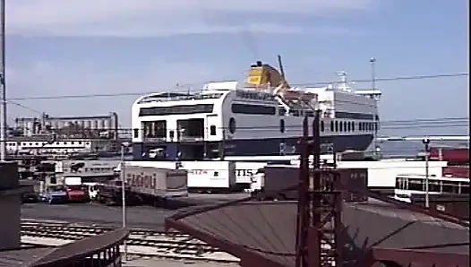 Kristal taşaklı kuşta Angelica Bella üretimi