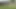 Olgun Kızlar Bahçede Birbirlerine Mastürbasyon Yapıyor Ve Birbirlerinin Vajinalarını Dildo Yapıyor