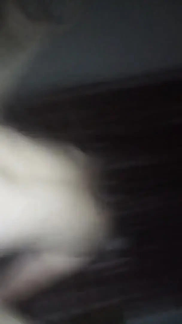 Buluşmak için bacaklarını aç