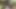Cumshot derleme 20210805