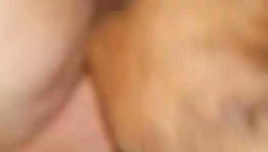 ESPOSA CAVALGA NO AMANTE