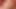 bbw newark nj