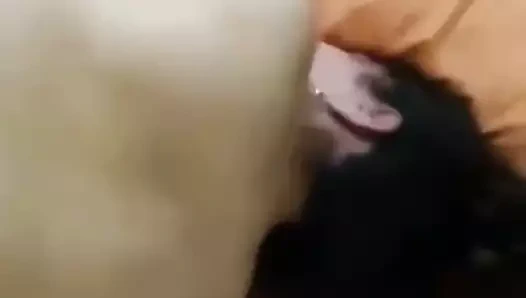 Türk ev yapımı porno videosu 27.05.2021-8