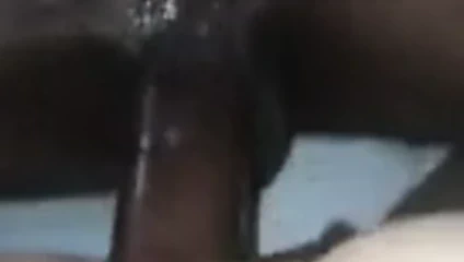 Uzun bbc için beyaz kedi