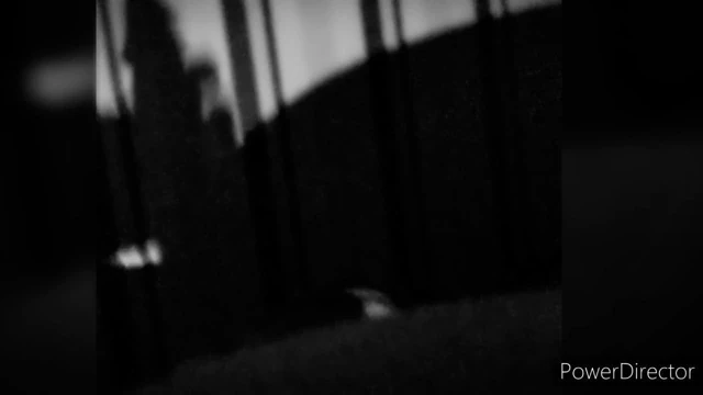 Shadow of Cum