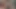 Büyük götlü bir oda arkadaşını sikiyorum