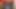 İlk porno çekimi için küçük yarağını emiyor