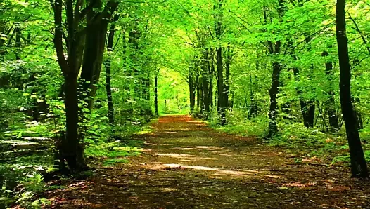 korkak zihin kontrolü ile metresi petra