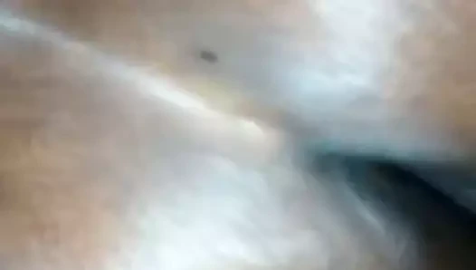 Phat kedi olmak becerdin yavaş yavaş