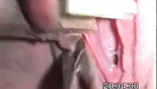 bir bol amcık sabitlenmiş açık