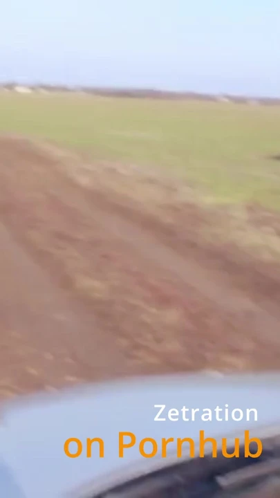 Nasıl oluyor da arabanın içine bu kadar derine sokuyor???