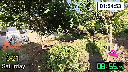 İyi bir gün dilerim