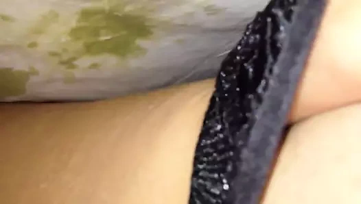 Çinli olgun kedi oyun altında kapaklar