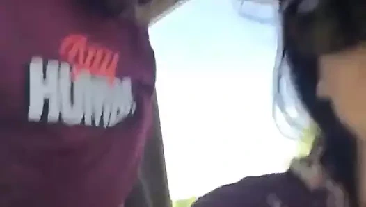 Irklararası amatörler 6