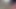 Pakistanlı Hint bengalcesi tiktok
