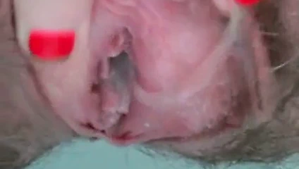 Kremsi kıllı kedi oyun