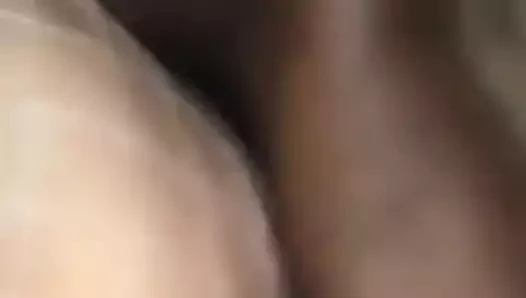 gilf zevk
