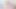 Çarpıcı genç lezbiyenler sarı dildo ile birbirlerine ıslak amcıklar yapıyor