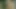 Papa - esmer orta sayfa sayfadaki çubuk seviyor