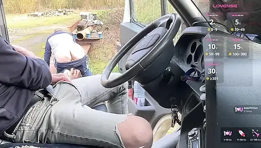 Dinlenme alanında seyir - beklenmedik azdırma