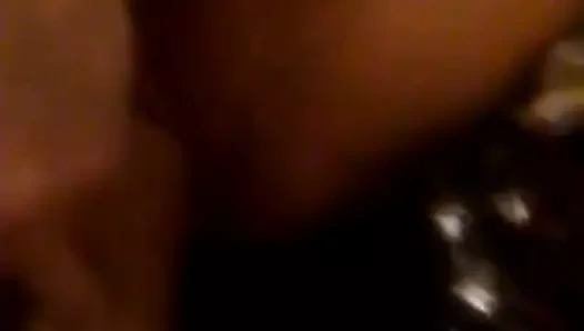 Kedi dolu arasında yumruk