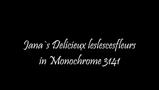 Delicieux leslescesfleurs in Monochrome 3141