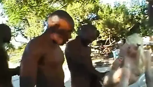 Büyük bir siyah horozdan daha iyi ne olabilir? 34