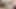 Seksi külotla mastürbasyonla titreyerek orgazm