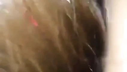 bok gozukmuyo amina koyayim diyor orospu