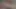 Yine üvey kız kardeş evde yalnızken üvey erkek kardeşiyle oynuyor