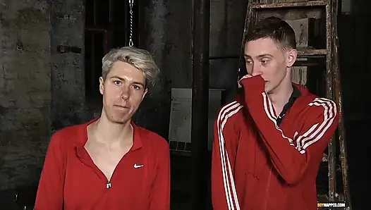 Calvin'in yumruk sokması