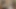 Ryanreos seksi kız büyük yarak bağımlısı ıslak amcık göğüsleri süt amcıkla dolu ve ateşli dölle dolu