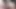 Javhub Japon model fotoğrafçının sikini emiyor