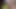 Sarışın genç jillian janson doggystyle becerdin ve emdi bbc