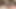 Güzel esmer hatun yarak emiyor ve sonra gerçek bir kovboy kız gibi biniyor