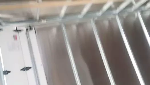 Kirli dilenme azgın kedi sadece dokunulmak istiyor