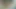 Onu kaşıntı kedi penetrasyon için yalvarır