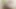 Seksi tatlı kız öğretmene testi geçmek için sakso çekiyor