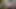 5kporn sarışın Çek şanslı bee olduğunu dik için horoz