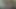Havuz Adamı