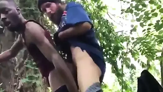 ormanda ırklararası seyir