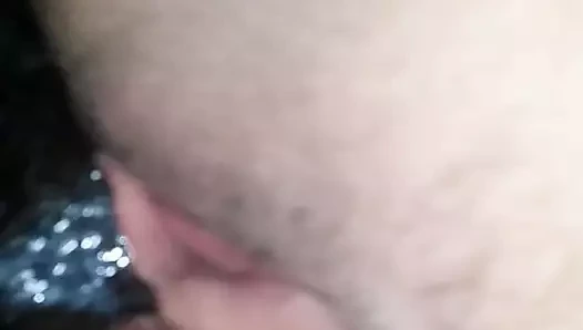 Pizza aldığın kulübedeki kedi