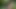 Uygun Alman oğlan çıplak kamu açık işemek hızlı boşalmak forrest ormanı açık mastürbasyon yapmak büyük horoz küçük çük yakışıklı
