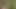Cute 18 Teen Boy Can't Hold Pee and Desperately Moans while Peeing in Nature 4K