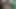Desi kız parmak ile kedi ile çıplak pics