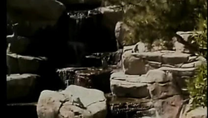 Kanıt lezbiyen bir sanattır - bangie