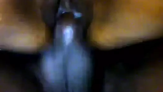 Germe ona sıkı Hint kedi