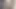 Zengin Mastürbasyon ve Zengin Küçük Tanguita'ya Giriş
