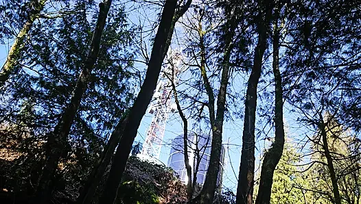 İşemek Zorundayım!