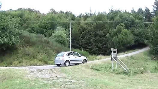 Pizza sıcak ekspres - (tam film)